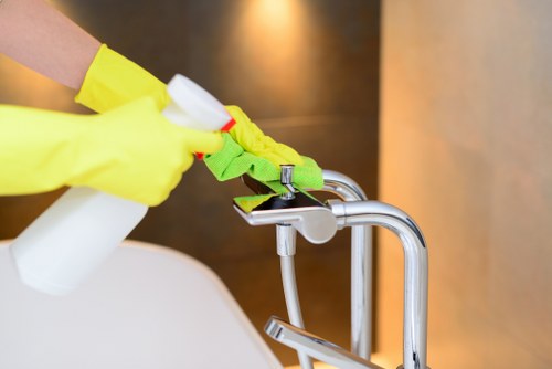 Detailed cleaning for ovens and household surfaces